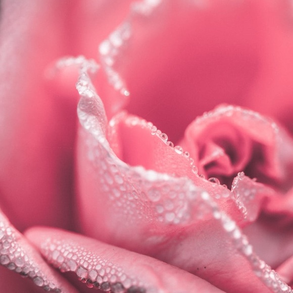 Bundle and save - Picture 2 of 8